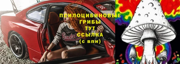 spice Кодинск