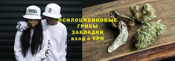 spice Кодинск
