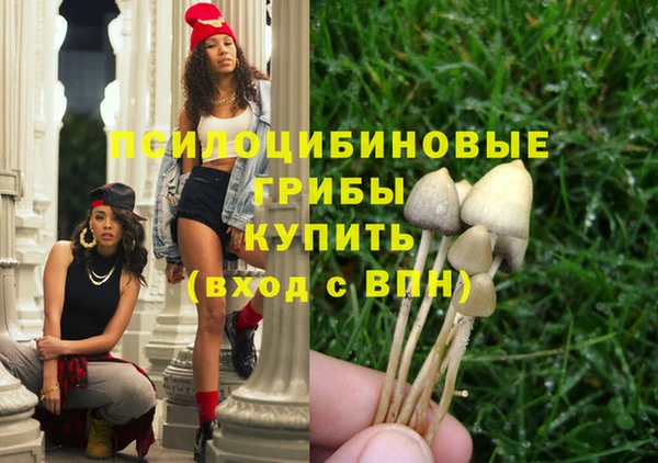 spice Кодинск