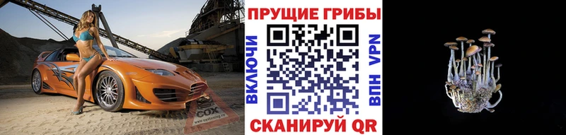 Купить где  Валуйки  Псилоцибиновые грибы ЛСД 